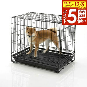 y12/5 Si|Cg5{zb`F pP[W vtFbViybgP[W L ubN b Ɩp Ck lR ςݏd ܂ тɂ 2ʃhA ybgVbv ybgp ړ