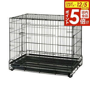 y12/5 Si|Cg5{zb`F pP[W vtFbViybgP[W XL ubN b Ɩp Ck lR ςݏd ܂ тɂ 2ʃhA ybgVbv ybgp ړ