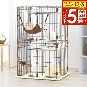 y12/5 Si|Cg5{zb`F bNX LbgT[N S 2i uE L P[W