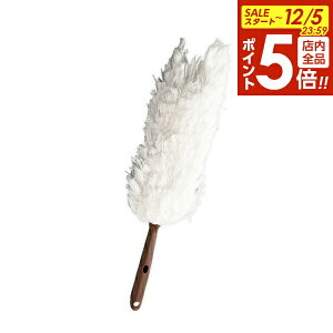 y12/5 Si|Cg5{zق d_X^[ b bv tbv _X^[ }CNt@Co[