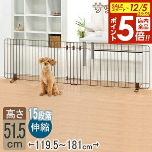 y12/5 Si|Cg5{zb`F LkX^hȈՃybgQ[g 120-180 uE b tFX ybg K[h   L Lb` Ki ybgtFX яo h~ 