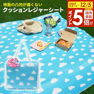 y12/5 Si|Cg5{zNbVW[V[g NEh 72509 b 3`4lp 120×180cm AEghA sNjbNV[g  ɂȂ _ ӂӂ 킢 [܂ h ^ Ԍ h