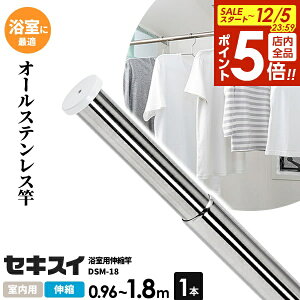 y12/5 Si|Cg5{z ZLXC XeX p Lk Lk0.96`1.8m DSM-18 b I[XeX  󕨊 |[ C oX[  Kтɂ 