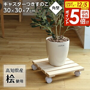 y12/5 Si|Cg5{z YqmL LX^[t̂ p^ b  30cm ԑ  XmR ϗtA  ؐ ב pg[  C@ @  X^h