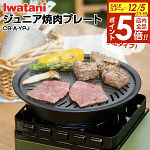 y12/5 Si|Cg5{zJY C^j WjAēv[g CB-A-YPJ b JZbgRp Ov[g S ~jR ی^ ⏕t Iwatani ē tbfH 1lē