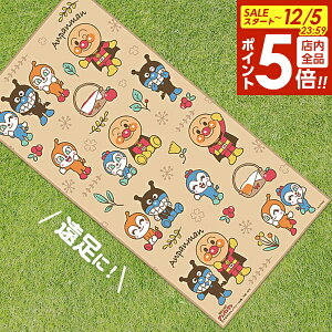 y12/5 Si|Cg5{zW[V[g 2`3lp 1TCYi90×180cmj Ap} b ~ W[}bg Ԍ  AEghA ^ sNjbN