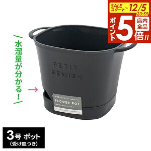 y12/5 Si|Cg5{z oXPbg|bg 3 _[NO[ b ʂ 󂯎MZbg 3v^[  M t ^уN M Vv ΂f Rei e A