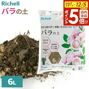 y12/5 Si|Cg5{zb`F |{y ŇbR o̓y 6L b o A  y  | K[fjO ͔| py