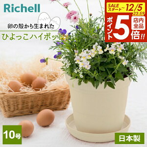 y12/5 Si|Cg5{zb`F Ђ nC|bg 10 x[W 170367 b Aؔ   v^[ [ a30cm { Vv AbvTCNi ̊k̍ėp ɂ₳