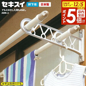 y12/5 Si|Cg5{zp ZLXC A~ ̂p̂ق ABN-2 b Ɗ| Ǝ  | A~ KтȂ ؃lW t ؘgp O x_