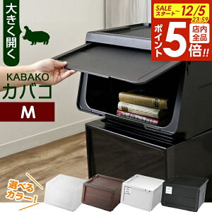 y12/5 Si|Cg5{z[P[X PROfix JoR M Pi b ߑP[X [{bNX   vtBbNX KABAKO ςݏd t^t ᔠ OJ d˂ X^bLO m mg[