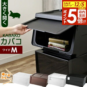 y12/5 Si|Cg5{z[P[X PROfix JoR ChM Pi b ߑP[X [{bNX   vtBbNX KABAKO ςݏd t^t ᔠ OJ d˂ X^bLO m m