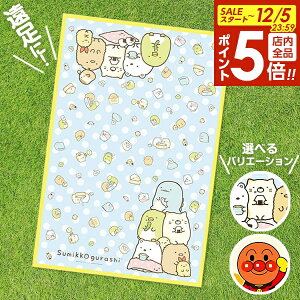 y12/5 Si|Cg5{zW[V[g 1lp S 60×90cm ݂R炵/Ap} b q  ~ LN^[ ^ sNjbN wZ ۈ珊 ǂ ct RpNg 