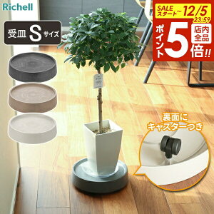 y12/5 Si|Cg5{zb`F sX LX^[v[g S IׂJ[ b p M LX^[t ړł v[g M u   ړOK LX^[ ԗ r