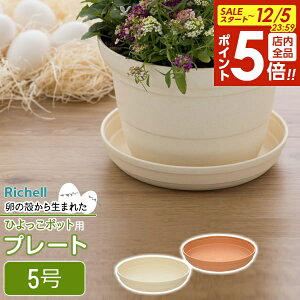 y12/5 Si|Cg5{zb`F Aؔ 󂯎M Ђ v[g 5 uE / x[W b  \[T[ v^[p M | ϗtA A K[fjO vX`bN y A