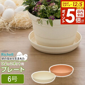 y12/5 Si|Cg5{zb`F Aؔ 󂯎M Ђ v[g 6 uE / x[W b  \[T[ v^[p M | ϗtA A K[fjO vX`bN y A