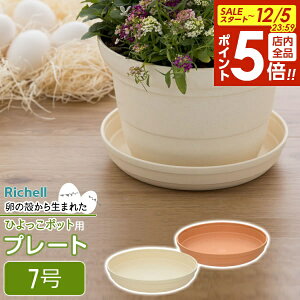 y12/5 Si|Cg5{zb`F Aؔ 󂯎M Ђ v[g 7 uE / x[W b  \[T[ v^[p M | ϗtA A K[fjO vX`bN y A