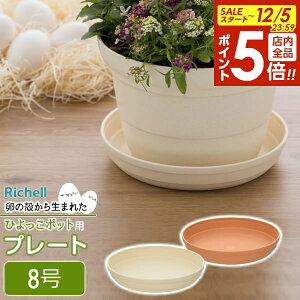 y12/5 Si|Cg5{zb`F Aؔ 󂯎M Ђ v[g 8 uE / x[W b  \[T[ v^[p M | ϗtA A K[fjO vX`bN y A