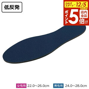 y12/5 Si|Cg5{zC\[ ᔽC\[ jp/p b ~ Ռz tBbg R NbV C ɂ fB[X Y V[Y C