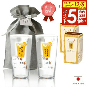 y12/5 Si|Cg5{zMtg nC{[OXiڈj 2Zbg 400ml b yAZbg ECXL[  ڐt H@Ή { g v[g 蕨  j ̓ 