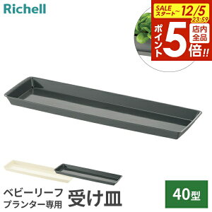 y12/5 Si|Cg5{zb`F M 󂯎M xr[[tv[g 40^N b ` | ؉ v^[ ͔| Lb`  A  M