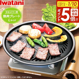 �y1/10 �S�i�|�C���g5�{�z��J�Y�� �C���^�j �ē��v���[�gL�i�J�Z�b�g�t�[��p�j CB-A-YPL �b �J�Z�b�g�R�����p �O�����v���[�g �S�� �ی^ �⏕�����t Iwatani �C���^�j �~�` �ē� �t�b�f���H ��