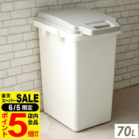 ［6/5 限定！店内全品P5倍］ゴミ箱 ワンハンドパッキンペール 70L ベージュ ｜ 大容量 分別 ごみ箱 オムツ 防臭 臭い 防止 屋外 室内 ダストボックス 匂い 漏れにくい 大型