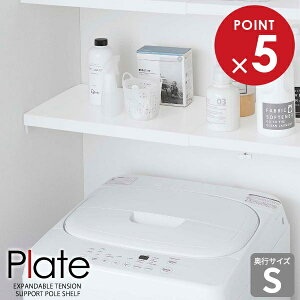 R v[g Lk ς_pI S zCg 5324 b Plate I ȈՒI ς ˂ _ ʎ[ gC[ 46.5`90cm s26.5cm Vv 