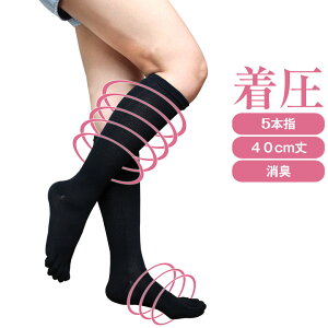 \bNX nC\bNX 5{w LC 40cm { nC\bNX C fB[X 100% I[KjbNRbg L hL LȂ LC ނ݉ ނݎ ₦ eXgbL