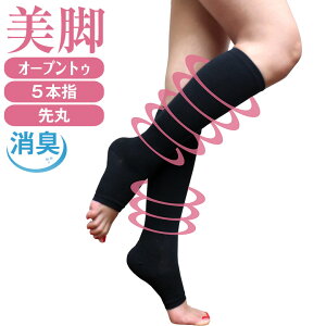 \bNX { fB[X C  ܖ{w\bNX 5{w\bNX 5{w I[vgD nC\bNX 100% L LC ނ݉ ₦ eXgbLO e\bNX ԕp