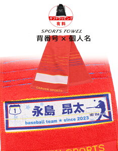 \1枚〜 おしゃれ 名入れ / 背番号 名前入り サッカー バスケ 野球 バレー スポーツタオル 名入れ 記念 部活 ギフト プレゼント 【 マフラー 厚手 名入れ タオル 19×98cm 4color】 中学生 中学校