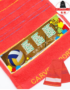 \1枚~ おしゃれ 名入れ / スポーツタオル 名入れタオル スポーツ 【 サッカー バスケ 野球 マフラー 名入れタオル 19×98cm 4color】 中学生 中学校 部活 チーム 名入れ タオル ギフト プレゼン