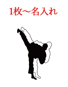 _^ ^I X|[c^I  ^I ZC^I y 1`14 X|[c z  30×100cm p[ܕt Z[^I 3colorz XC^I XC~O^I