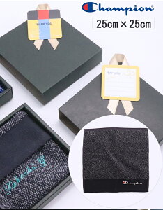 _ l[ hJ ^ X|[c^I  `sI Champion y 1`  hJ nJ` nh^I 25×25cm z ^I`[t uh ^I v`^I ~jnJ` Mt