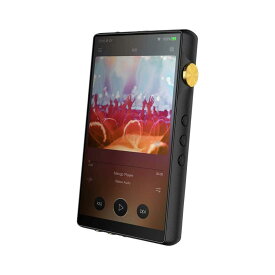 iBasso Audio DX240 アイバッソ Android オーディオプレーヤー DAP アンプ 交換 3.5mm 2.5mm ストリーミング サブスク アプリケーション WAV MP3 FLAC (ブラック)