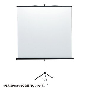 (LINE�N�[�|���L)�T�����T�v���C PRS-S60 �v���W�F�N�^�[�X�N���[���i�O�r���j SANWASUPPLY (�@�l����)