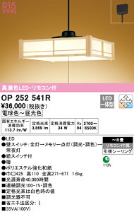 (LINE�N�[�|���L)ODELIC OP252541R �y���_���g���C�g LED��̌^ �d���F�`�����F �����E���F �I�[�f���b�N