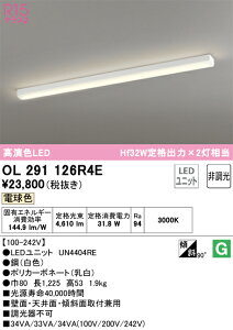 (LINEクーポン有)オーデリック OL291126R4E キッチンライト LED一体型 電球色 非調光 ODELIC
