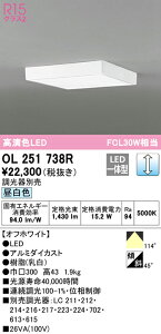 (LINE�N�[�|���L)ODELIC OL251738R ���^�V�[�����O���C�g LED��̌^ �����F ���� �I�[�f���b�N