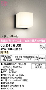 (LINE�N�[�|���L)ODELIC OG254799LCR �G�N�X�e���A���C�g LED�����v �d���F �l���Z���T�[�t �I�[�f���b�N