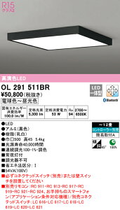 (LINE�N�[�|���L)ODELIC OL291511BR �V�[�����O���C�g LED��̌^ �d���F�`�����F Bluetooth�Ή� �I�[�f���b�N