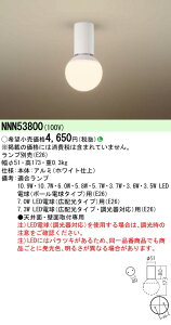 (LINE�N�[�|���L)�p�i�\�j�b�N NNN53800 LED�d���V�[�����O���C�g �����v�ʔ� Panasonic