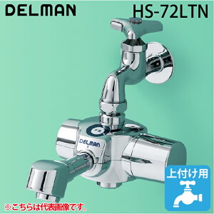 (LINEN[|L)f} HS-72LTN f} drEP 􂢗p LTCY(170mm) t ^Cv DELMAN oC^ VAITAL