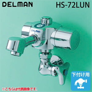 (LINEN[|L)f} HS-72LUN f} drEP 􂢗p LTCY(170mm) t ^Cv DELMAN oC^ VAITAL