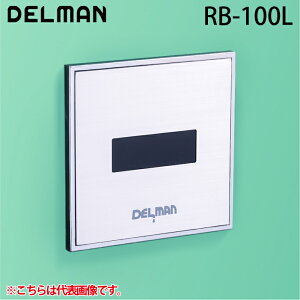 (LINEN[|L)f} RB-100L REBORN({[At@) ֊ZTĐLbg ǖʓ^EAC100V DELMAN oC^ VAITAL