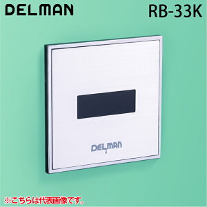 (LINEN[|L)f} RB-33K REBORN({[At@) ֊ZTĐLbg ǖʓ^EAC100V DELMAN oC^ VAITAL