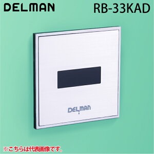(LINEN[|L)f} RB-33KAD REBORN({[At@) ֊ZTĐLbg ǖʓ^Edr DELMAN oC^ VAITAL
