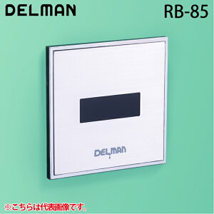 (LINEN[|L)f} RB-85 REBORN({[At@) ֊ZTĐLbg ǖʓ^EAC100V DELMAN oC^ VAITAL