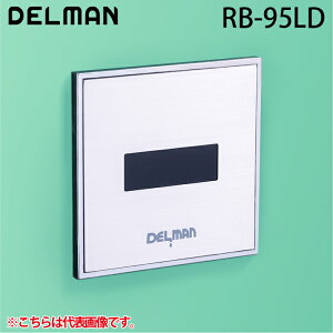 (LINEN[|L)f} RB-95LD REBORN({[At@) ֊ZTĐLbg ǖʓ^Edr DELMAN oC^ VAITAL
