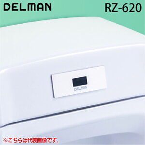 (LINEN[|L)f} RZ-620 REBORNZ({[[bg) ֊ZTĐLbg ֊^EAC100V DELMAN oC^ VAITAL